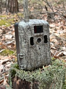 Fotopułapka B4HUNT X7 + Panel solarny + 24 000 mAh akumulator + karta pamięci 32 GB